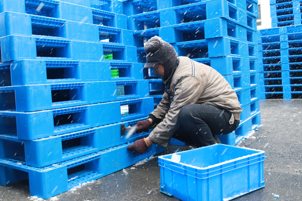 錦尚來塑業 錦尚來塑業