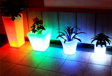 塑料托盤定制 塑料托盤定制