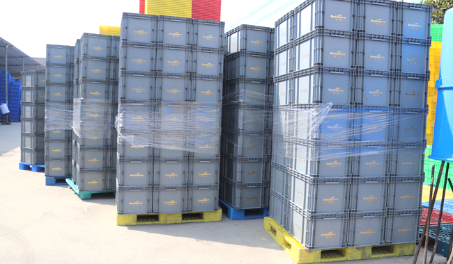 萬(wàn)能的塑料托盤(pán)