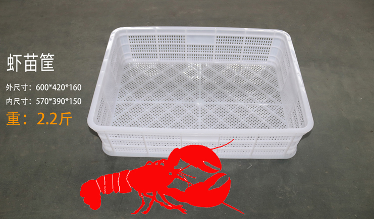 益樂上新啦！蝦苗存活率低？蝦苗筐聽完想打人