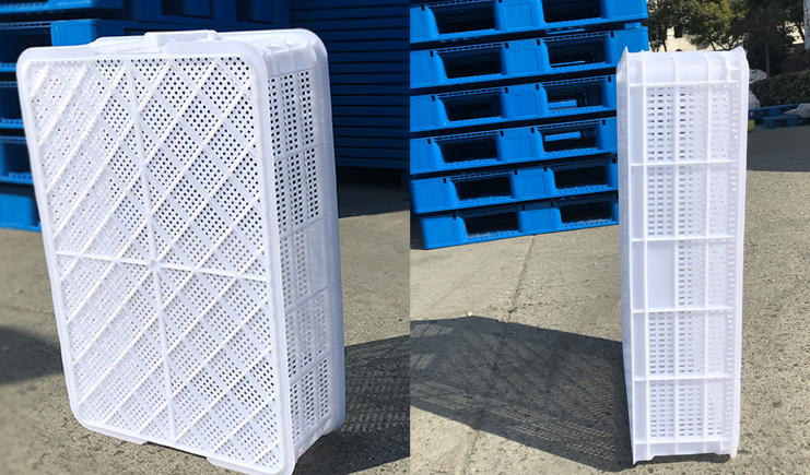 蝦苗存活率低?蝦苗筐聽完想打人 蝦苗存活率低?蝦苗筐聽完想打人