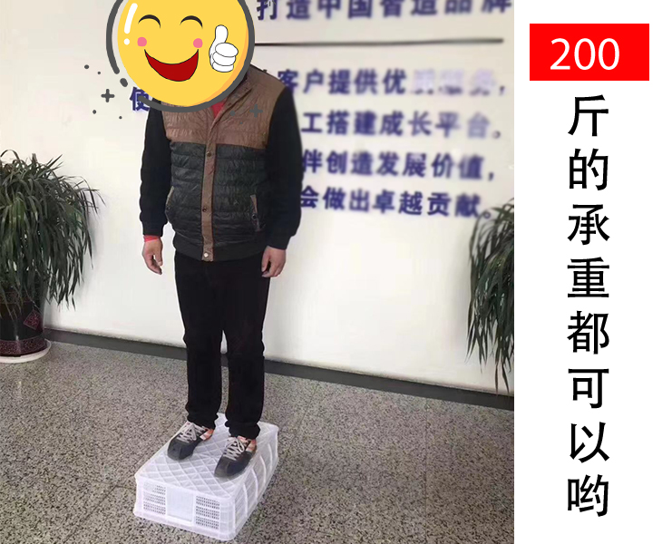 蝦苗存活率低?蝦苗筐聽完想打人 蝦苗存活率低?蝦苗筐聽完想打人