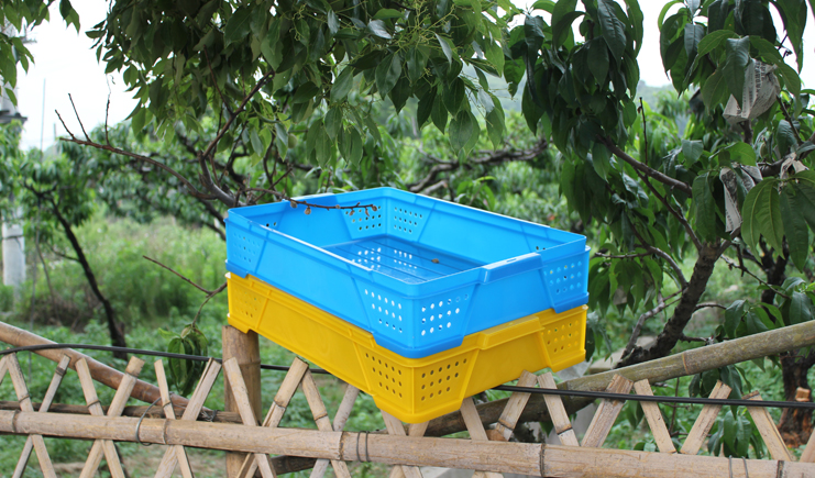 塑料周轉(zhuǎn)箱的顏色，實(shí)話實(shí)說(shuō)，到底有多重要？