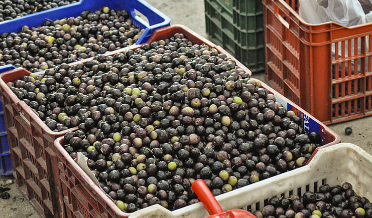 蔬菜水果塑料周轉筐,帶你玩轉不一樣的周轉筐 蔬菜水果塑料周轉筐,帶你玩轉不一樣的周轉筐