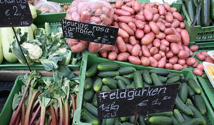 蔬菜水果塑料周轉筐,帶你玩轉不一樣的周轉筐 蔬菜水果塑料周轉筐,帶你玩轉不一樣的周轉筐