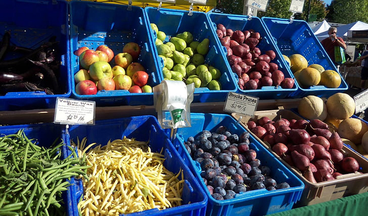 為何從大企業到小攤小販都離不開塑料周轉箱？