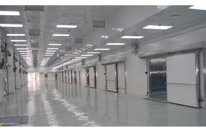 這款塑料托盤(pán)打入“冷宮”，也能混的如魚(yú)得水？